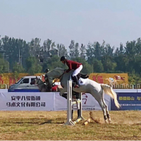 博天亞董事長吳芷綺女士受邀參加 2019 中國碭山國際馬術(shù)耐力賽