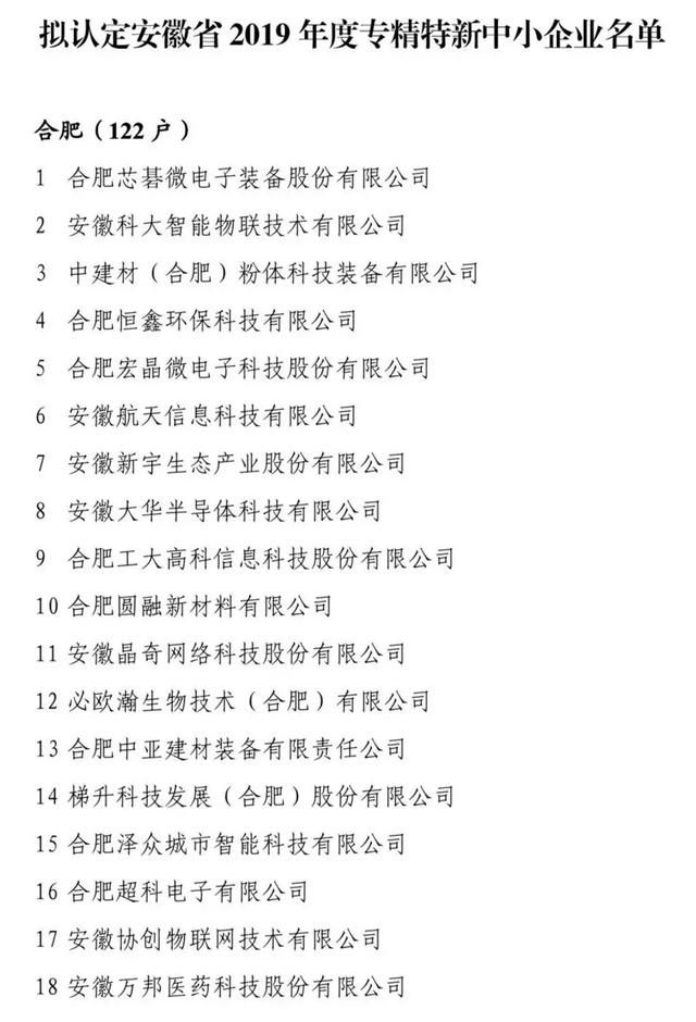 擬認(rèn)定2019年安徽省“專精特新”中小企業(yè)名單的公示