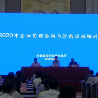 安徽博天亞集團(tuán)參加安徽省經(jīng)信廳2020年企業(yè)管理咨詢與診斷活動(dòng)培訓(xùn)班開班儀式